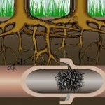 RooterNOW root infiltration in pipe