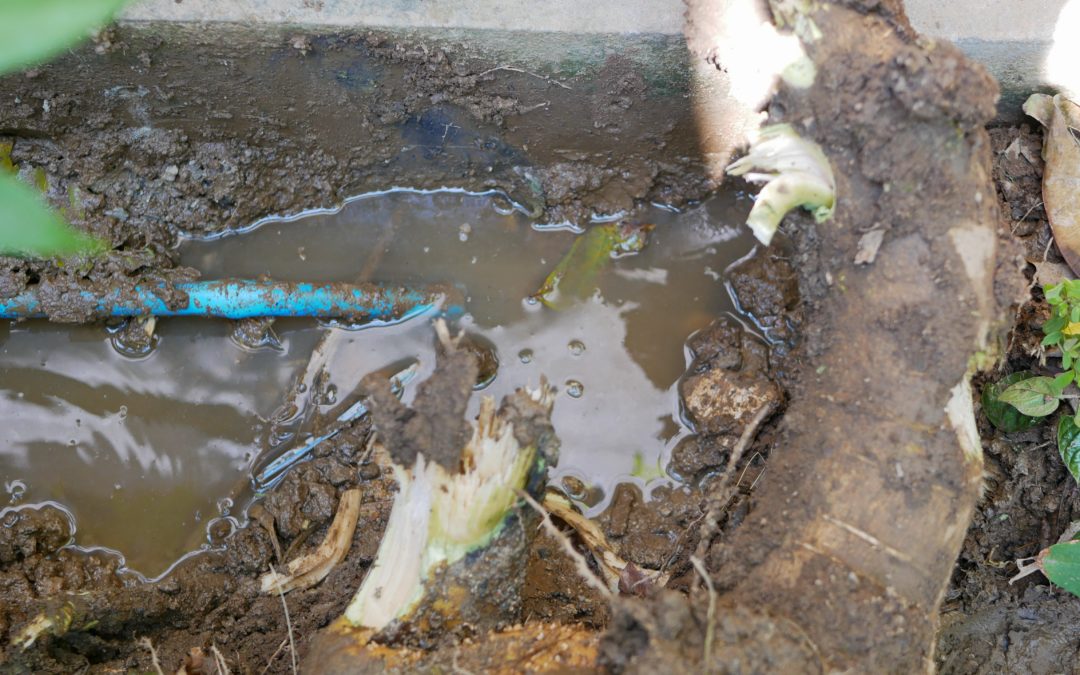 Clogged Drains and Cracked Pipes caused by Heavy Rain in the Lowcountry
